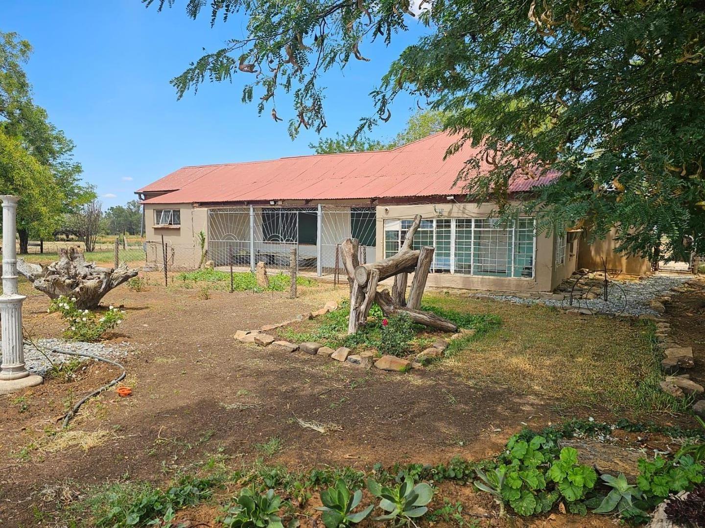 Farm for Sale - Free State