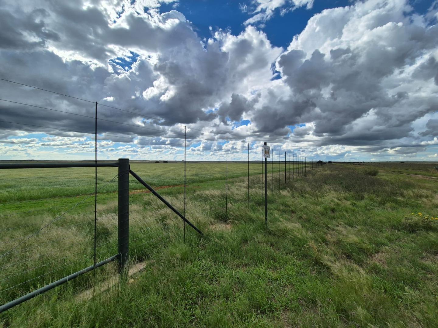 Farm for Sale - Free State